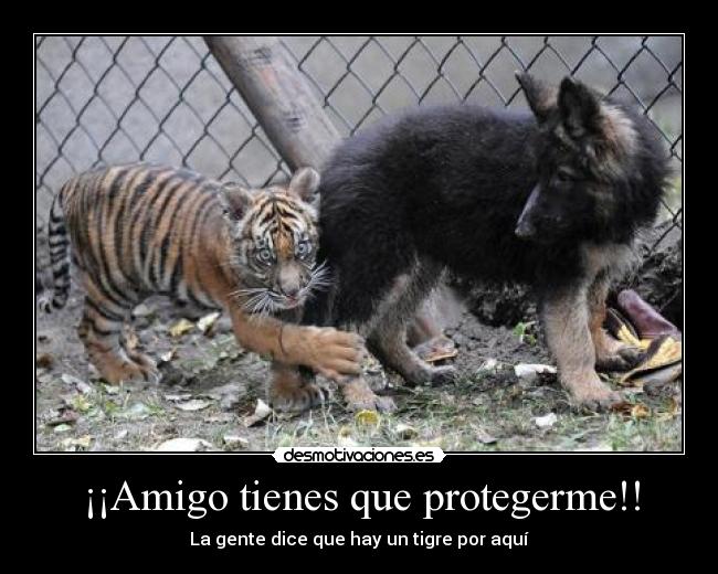 ¡¡Amigo tienes que protegerme!! -