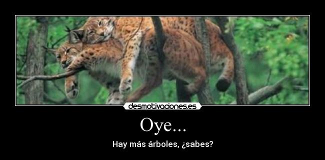 Oye... - 