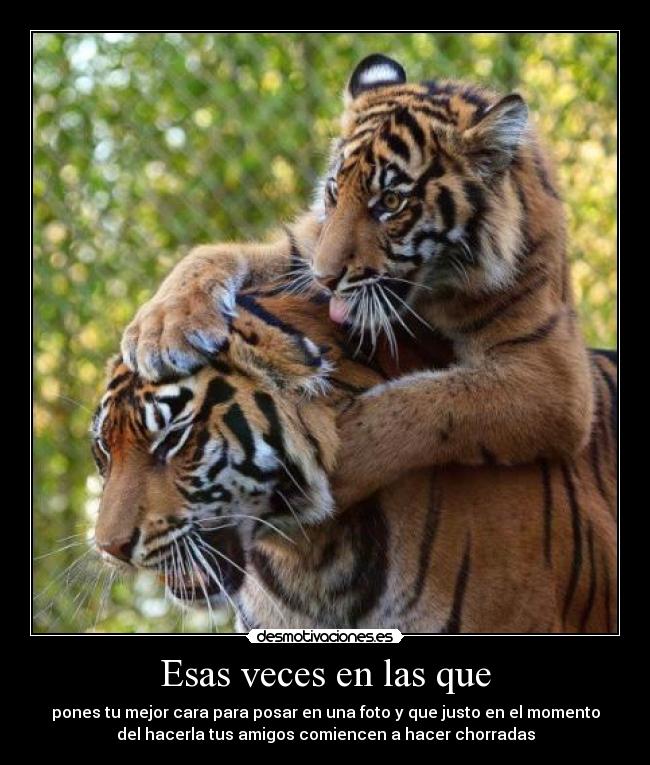 Esas veces en las que - 