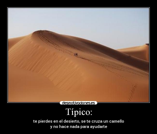 Típico: - te pierdes en el desierto, se te cruza un camello
y no hace nada para ayudarte