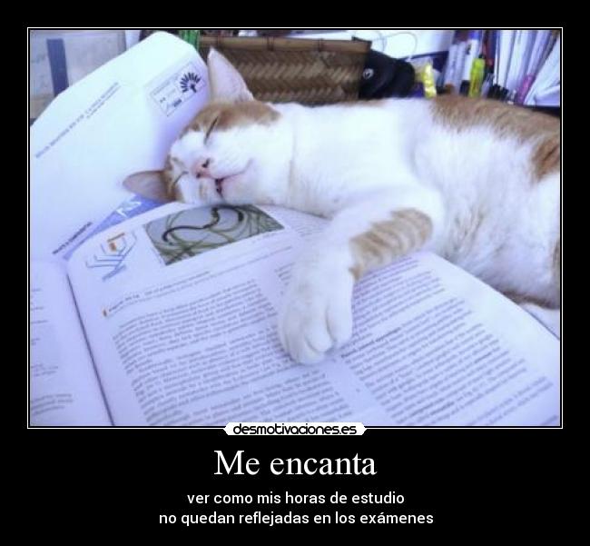 Me encanta - ver como mis horas de estudio
no quedan reflejadas en los exámenes