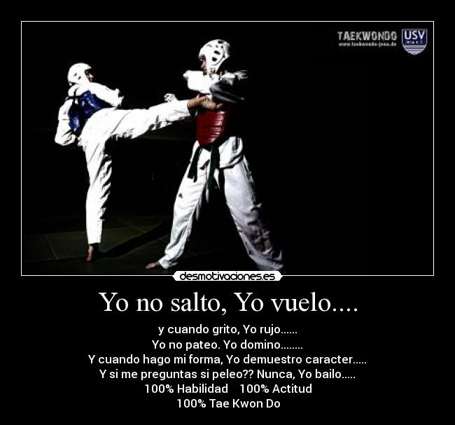 Yo no salto, Yo vuelo.... - 