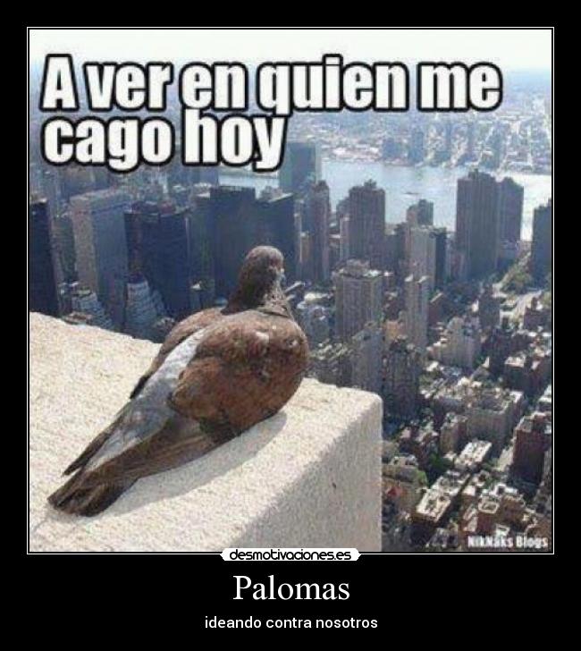 Palomas - ideando contra nosotros