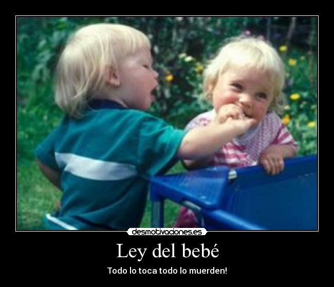 Ley del bebé -