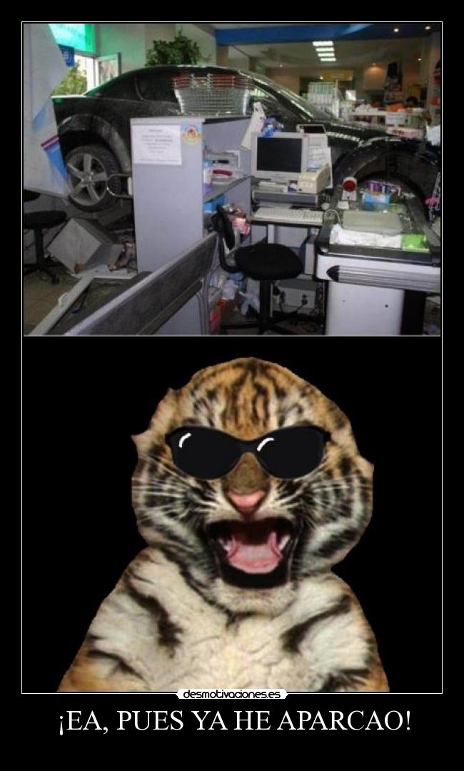 carteles tigretoneh clantigretoneh desollao desmotivaciones