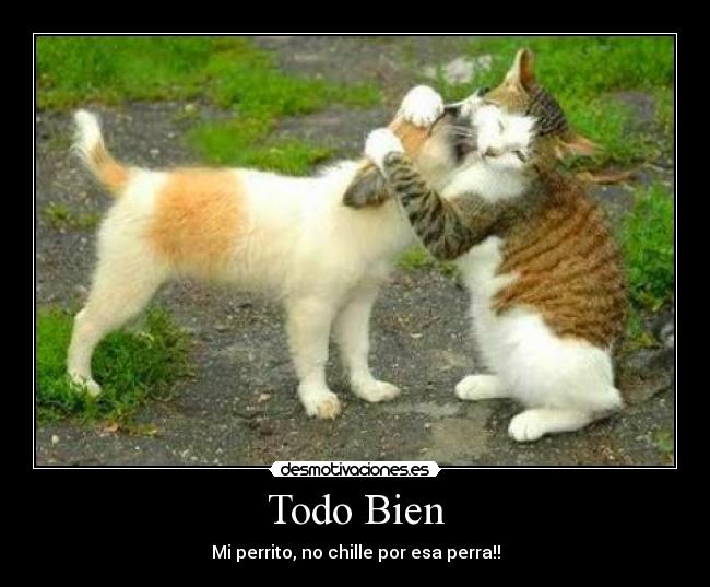 Todo Bien - 