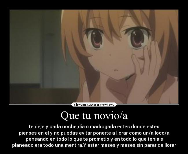 carteles toradora cry true history taiga desmotivaciones