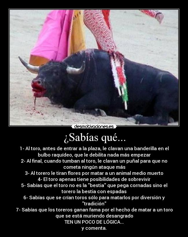 ¿Sabías qué... - 1- Al toro, antes de entrar a la plaza, le clavan una banderilla en el
bulbo raquídeo, que le debilita nada más empezar
2- Al final, cuando tumban al toro, le clavan un puñal para que no
cometa ningún ataque más
3- Al torero le tiran flores por matar a un animal medio muerto
4- El toro apenas tiene posibilidades de sobrevivir
5- Sabías que el toro no es la bestia que pega cornadas sino el
torero la bestia con espadas
6- Sabías que se crían toros sólo para matarlos por diversión y
tradición
7- Sabías que los toreros ganan fama por el hecho de matar a un toro
que se está muriendo desangrado
TEN UN POCO DE LÓGICA...
y comenta.