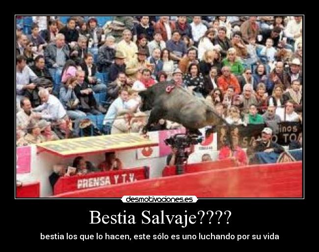Bestia Salvaje???? - bestia los que lo hacen, este sólo es uno luchando por su vida
