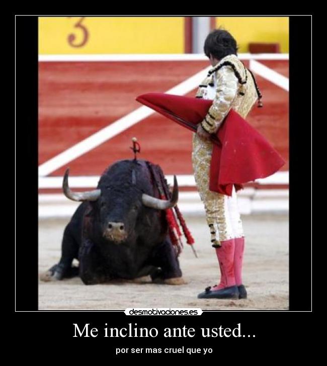 Me inclino ante usted... -