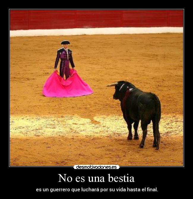 No es una bestia -