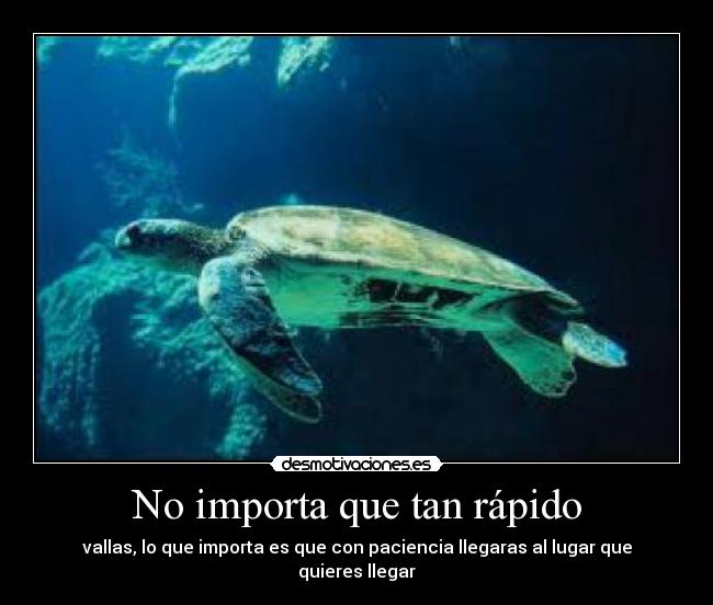 No importa que tan rápido - vallas, lo que importa es que con paciencia llegaras al lugar que quieres llegar