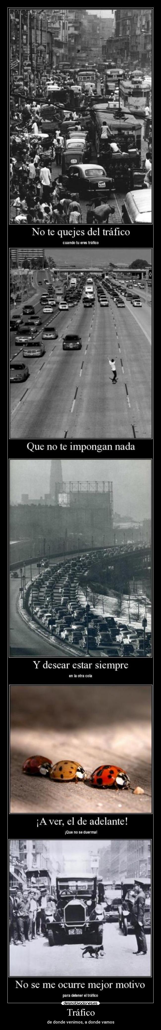 carteles ferminelfiero desmotivaciones