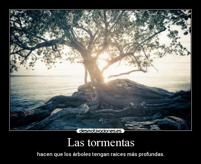 carteles tree desmotivaciones
