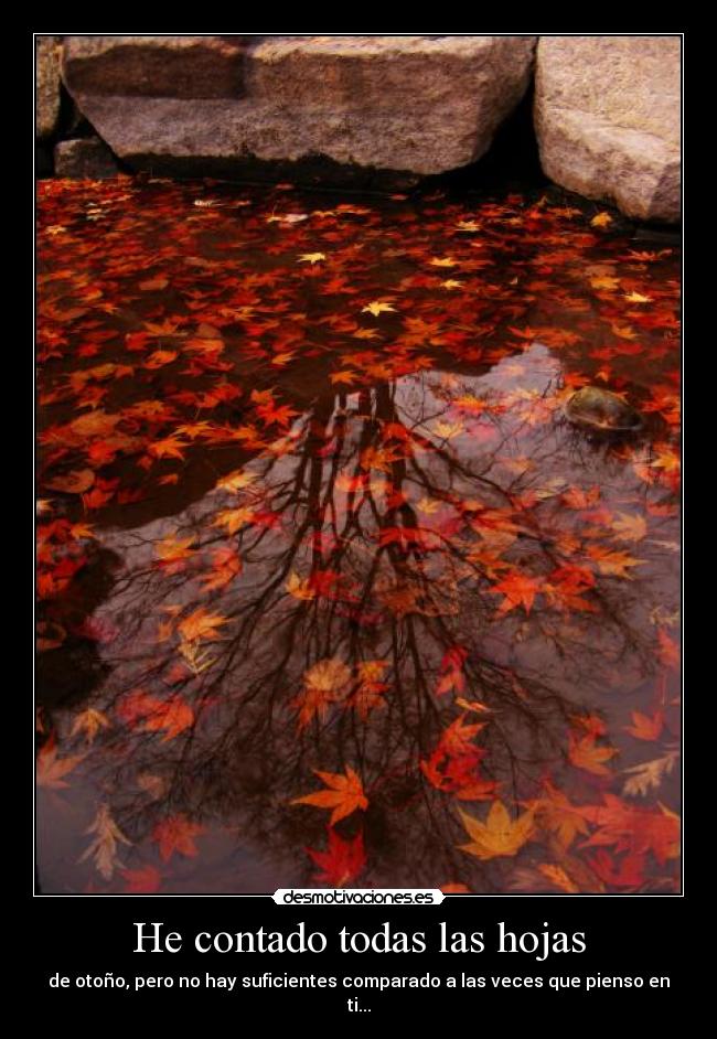 carteles desmotivaciones