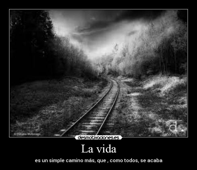 La vida -