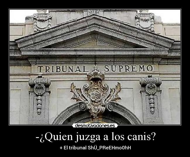 -¿Quien juzga a los canis? - + El tribunal ShÜ_PReEHmo0hH