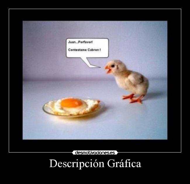 Descripción Gráfica -