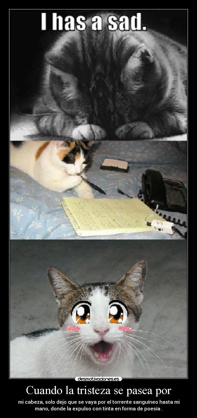 Cuando la tristeza se pasea por - 