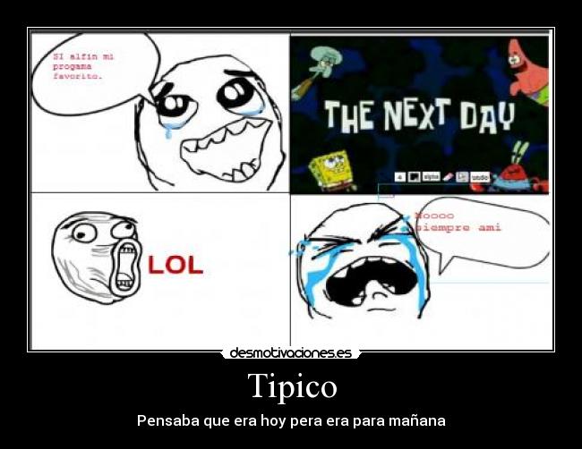 Tipico - 
