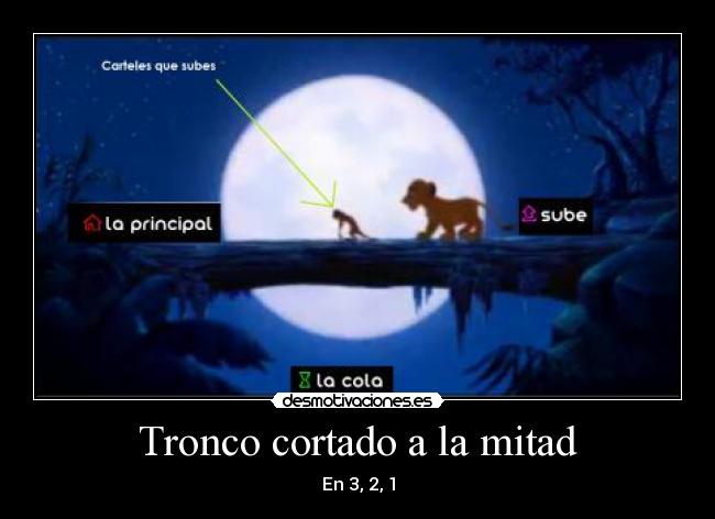 Tronco cortado a la mitad - En 3, 2, 1