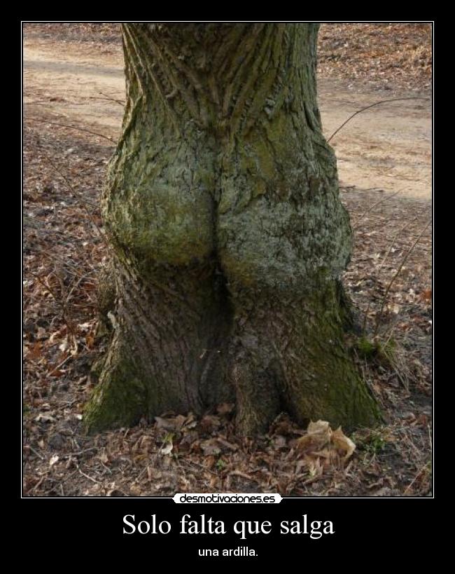 Solo falta que salga -