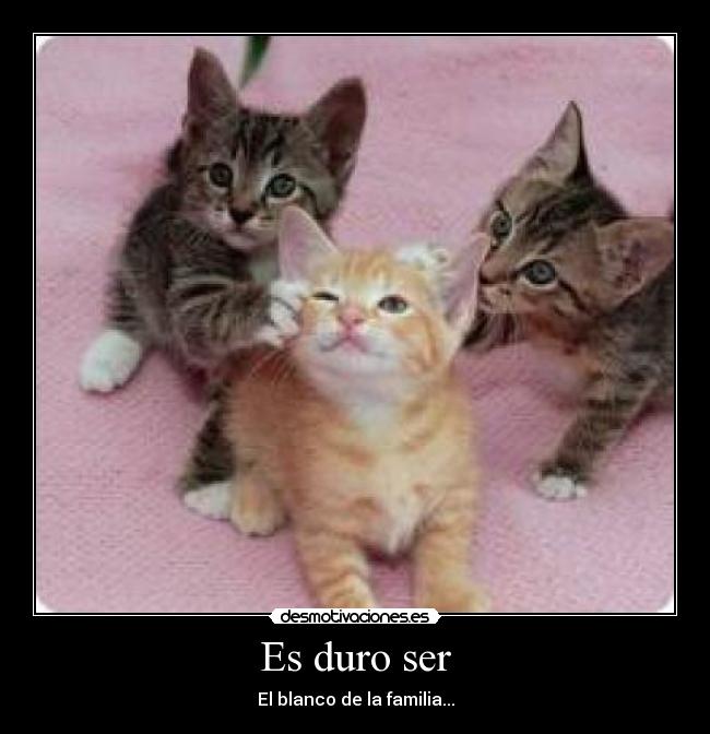 Es duro ser - El blanco de la familia...