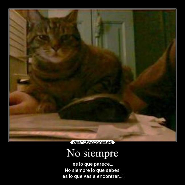 No siempre - es lo que parece...
No siempre lo que sabes
es lo que vas a encontrar...!