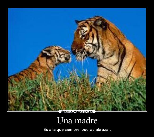 Una madre - Es a la que siempre  podras abrazar.