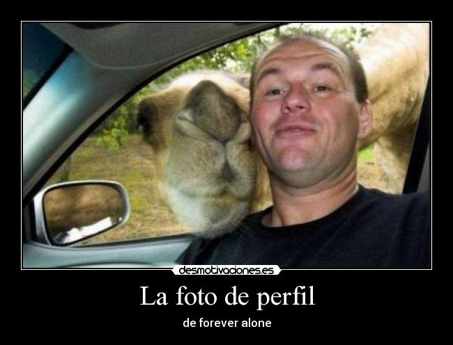 La foto de perfil - de forever alone