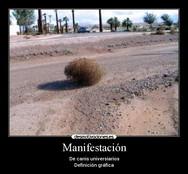 Manifestación - De canis universiarios
Definición gráfica