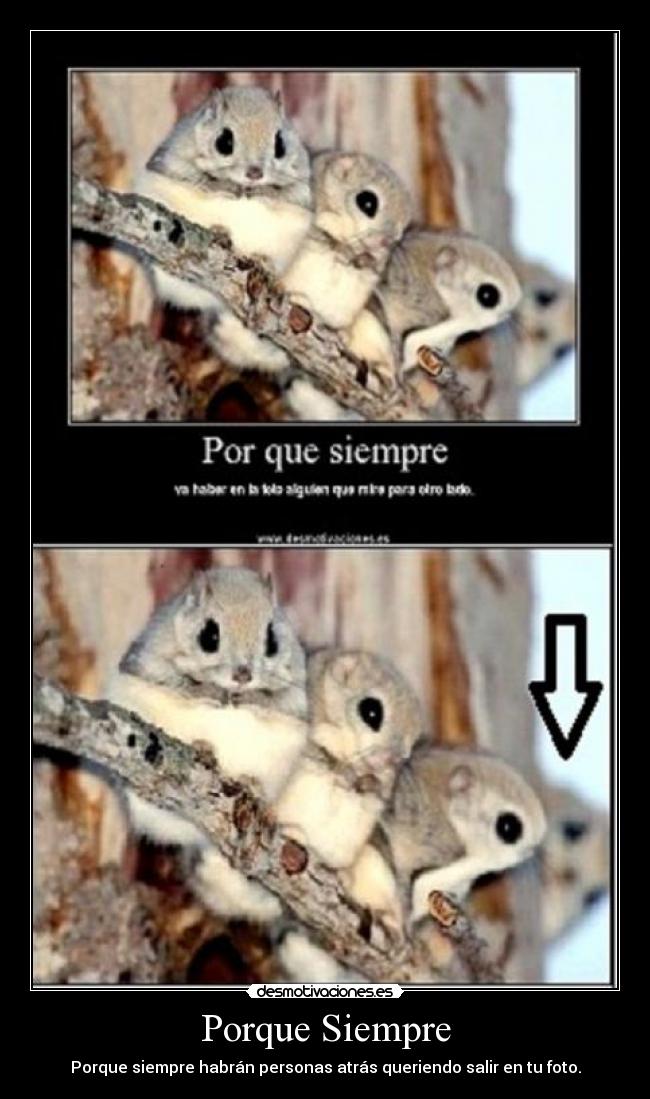 carteles fotos desmotivaciones