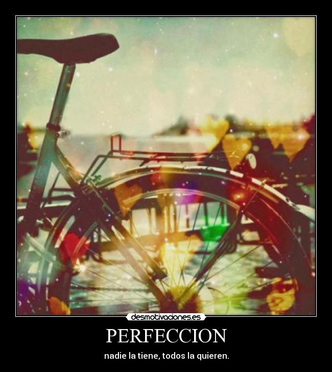 PERFECCION - 