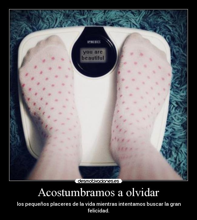 Acostumbramos a olvidar - 