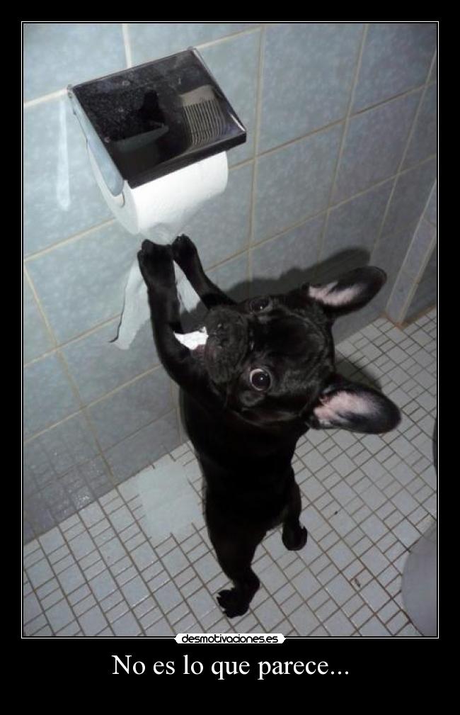 No es lo que parece... -