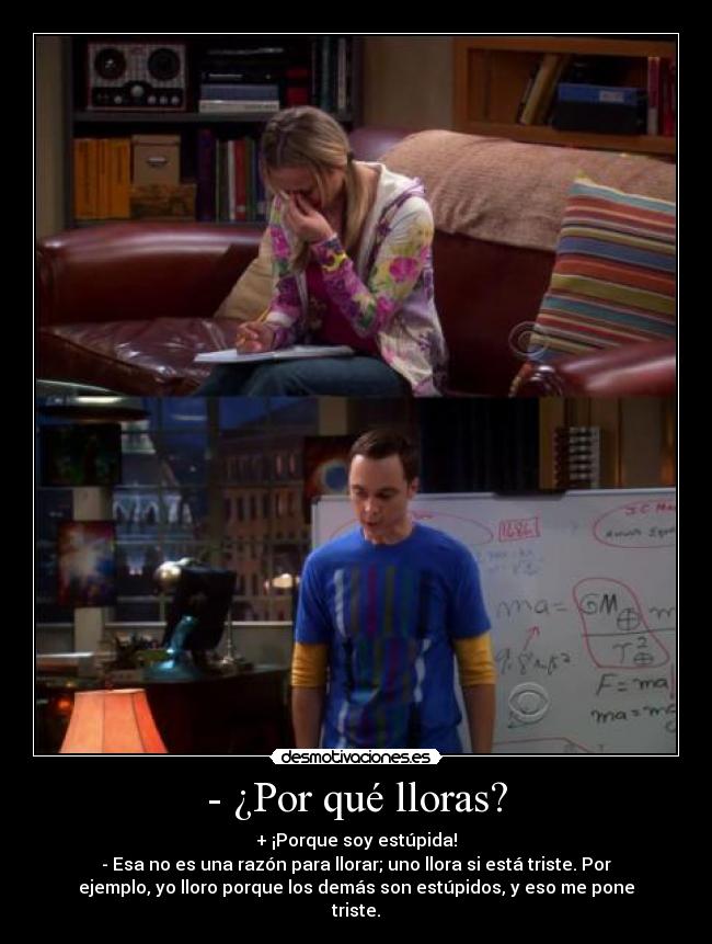 carteles xoxoxoxox princesachicle bazzinga tambien lloro por los demas sheldon desmotivaciones