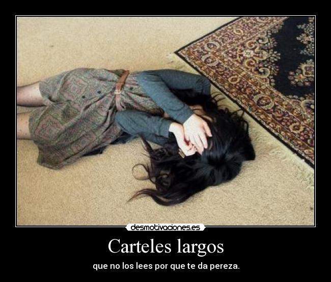 Carteles largos -