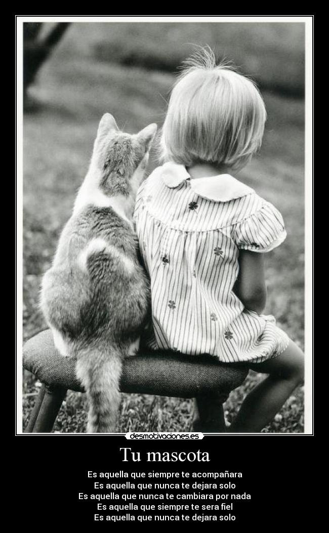 Tu mascota -