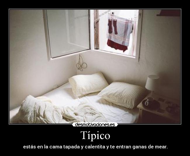 carteles tuki14 desmotivaciones