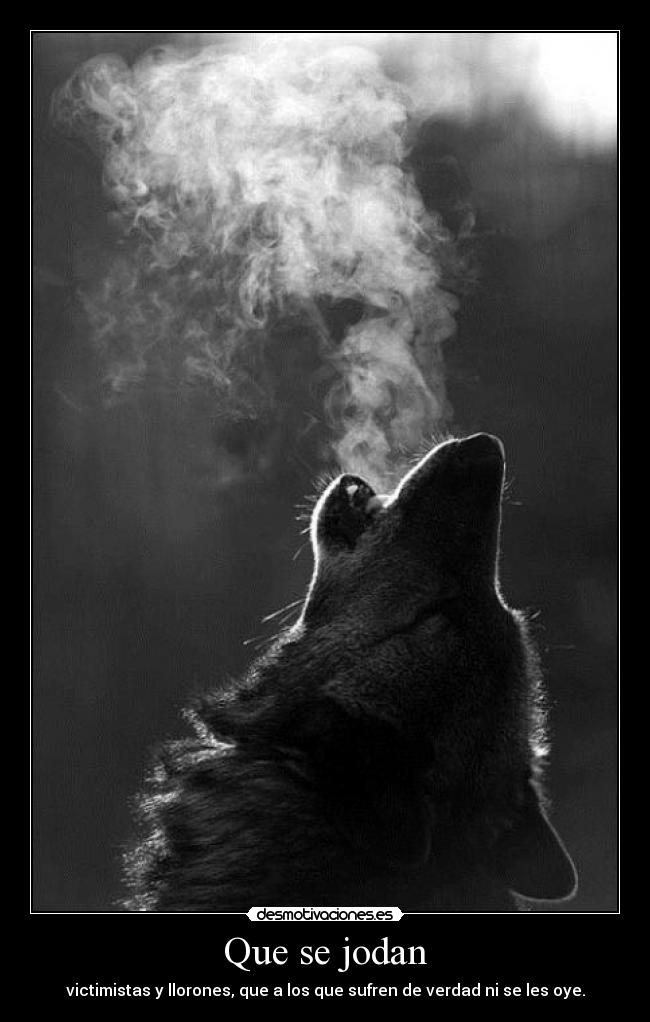 Que se jodan - 