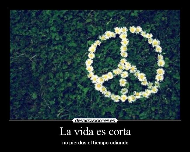 La vida es corta - 