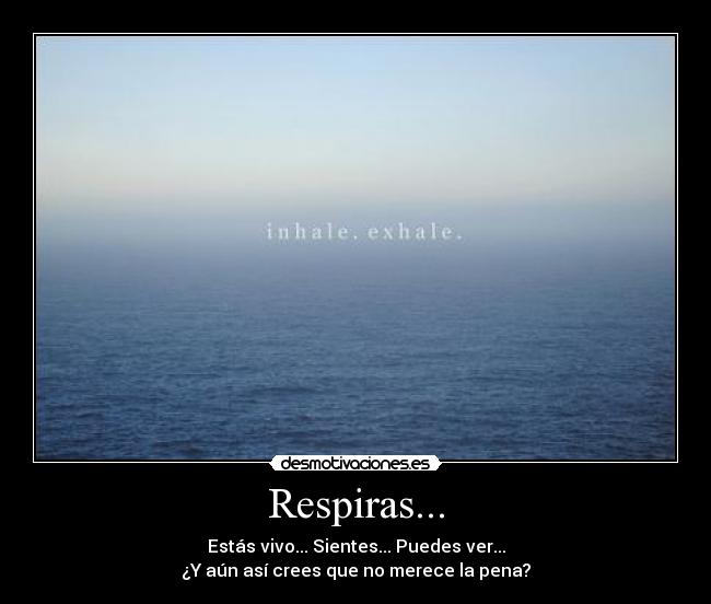 Respiras... - Estás vivo... Sientes... Puedes ver...
¿Y aún así crees que no merece la pena?