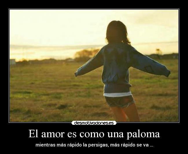 El amor es como una paloma - mientras más rápido la persigas, más rápido se va ...