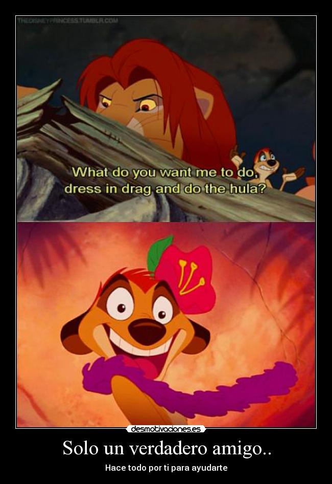 Solo un verdadero amigo.. - Hace todo por ti para ayudarte