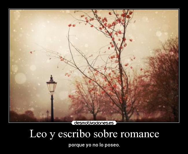 Leo y escribo sobre romance - porque yo no lo poseo.