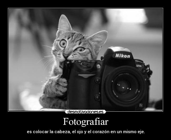 Fotografiar - 