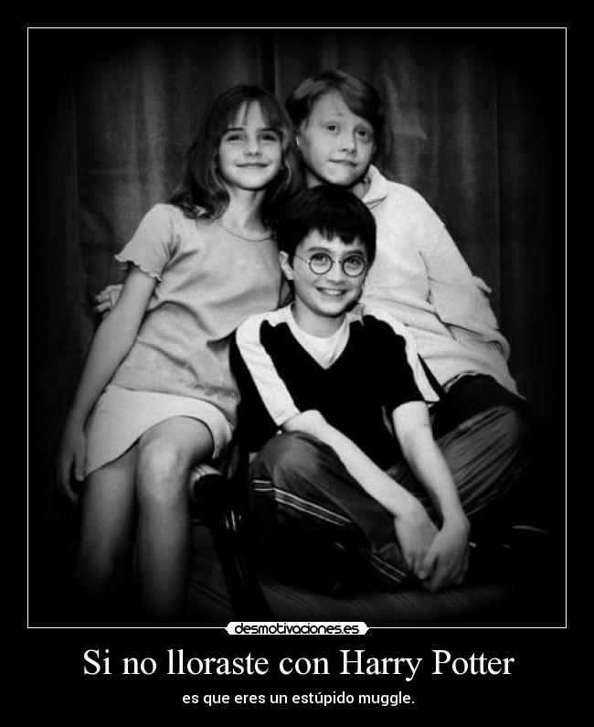 Si no lloraste con Harry Potter - 