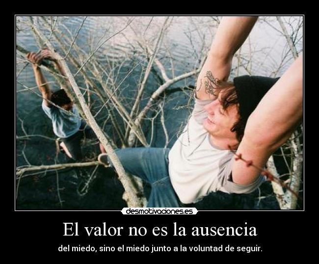El valor no es la ausencia - 