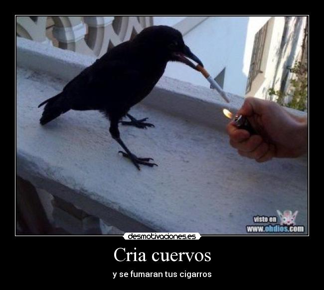 Cria cuervos -