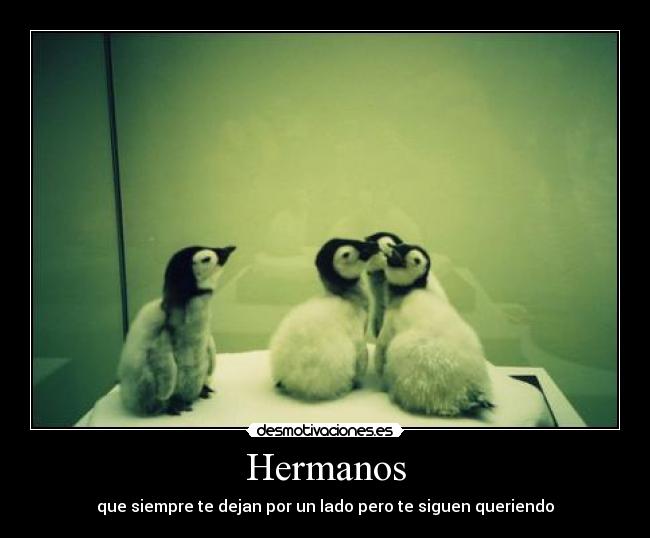 Hermanos - que siempre te dejan por un lado pero te siguen queriendo